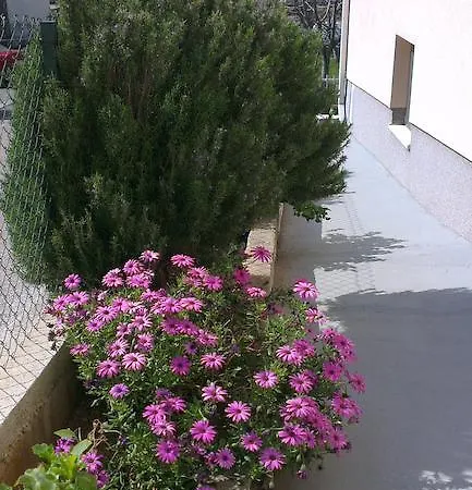 Matko מאקרסקה